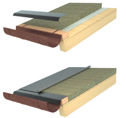 membrane