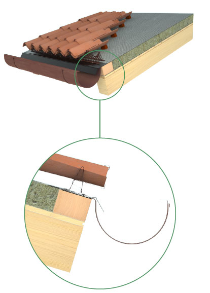 membrane