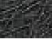 membrane
