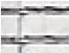 membrane