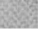 membrane